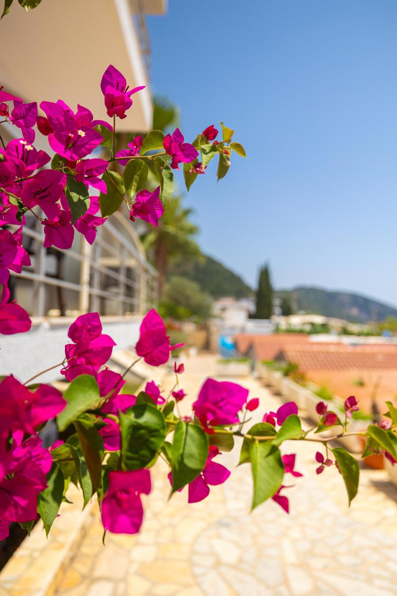 Royal Blue Hotel Dhermi Exterior photo